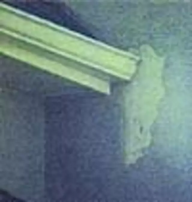 A Better School of Building Inspection