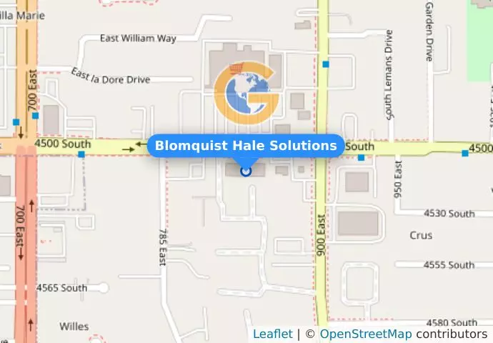 Blomquist Hale Solutions