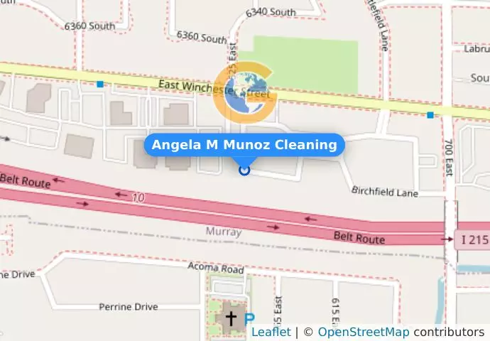 Angela M Munoz Cleaning