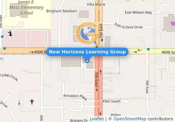New Horizons Learning Group