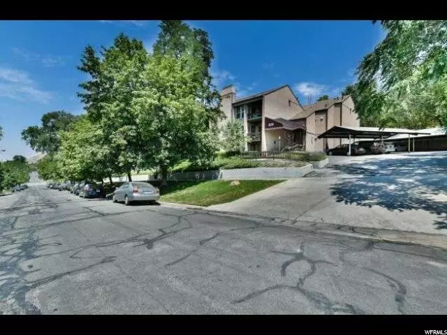 Audrey Reynolds - Paras Real Estate