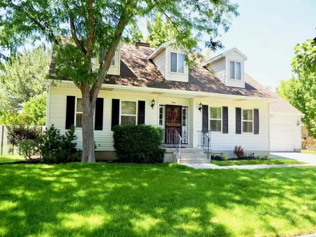 Audrey Reynolds - Paras Real Estate