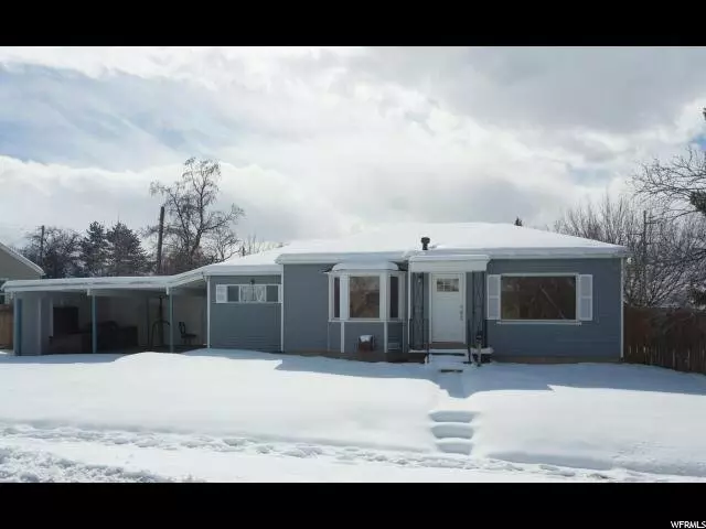 Audrey Reynolds - Paras Real Estate