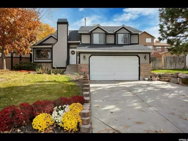 Audrey Reynolds - Paras Real Estate
