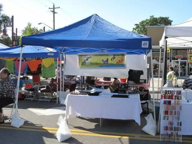 9th and 9th Street Festival