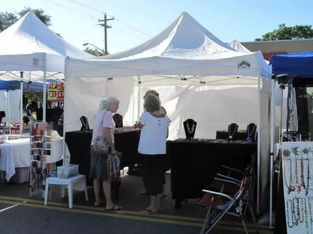 9th and 9th Street Festival