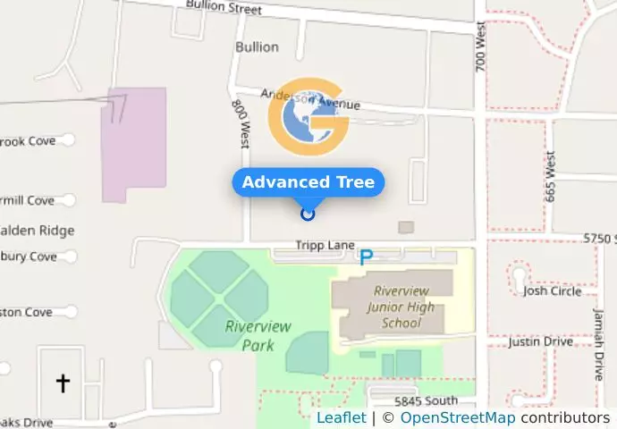 Advanced Tree