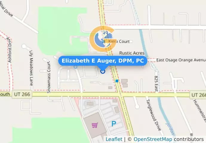 Elizabeth E Auger, DPM, PC