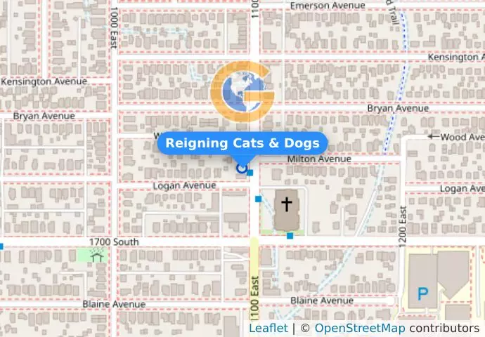 Reigning Cats & Dogs
