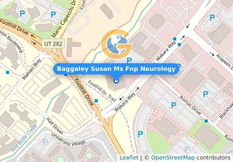 Baggaley Susan Ms Fnp Neurology