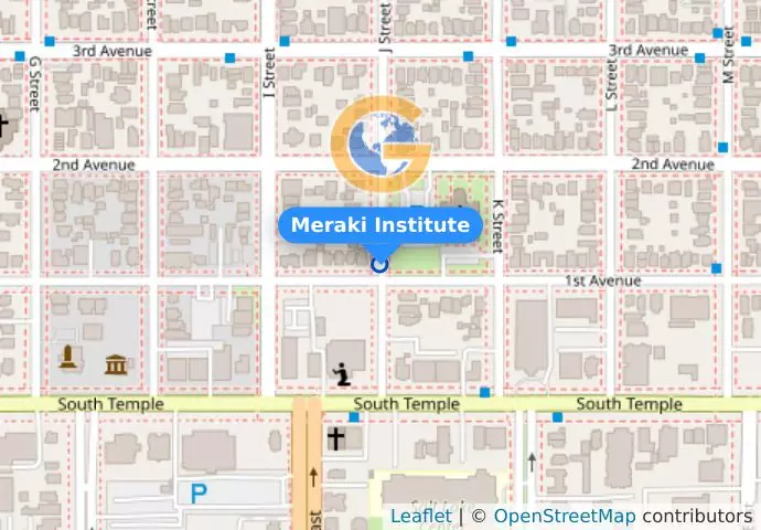 Meraki Institute