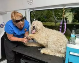 Aussie Pet Mobile Salt Lake