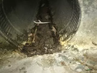 Green Home Air