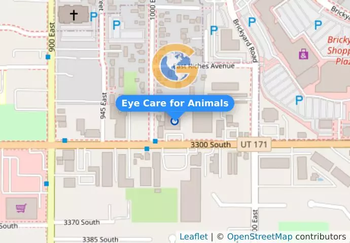 Eye Care for Animals