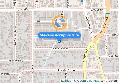 Stevens Accupuncture