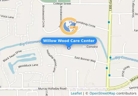 Willow Wood Care Center