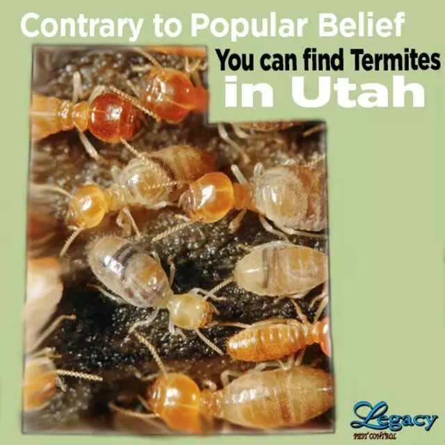 Legacy Pest Control