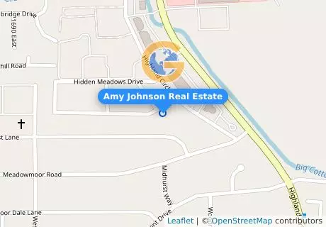 Amy Johnson Real Estate