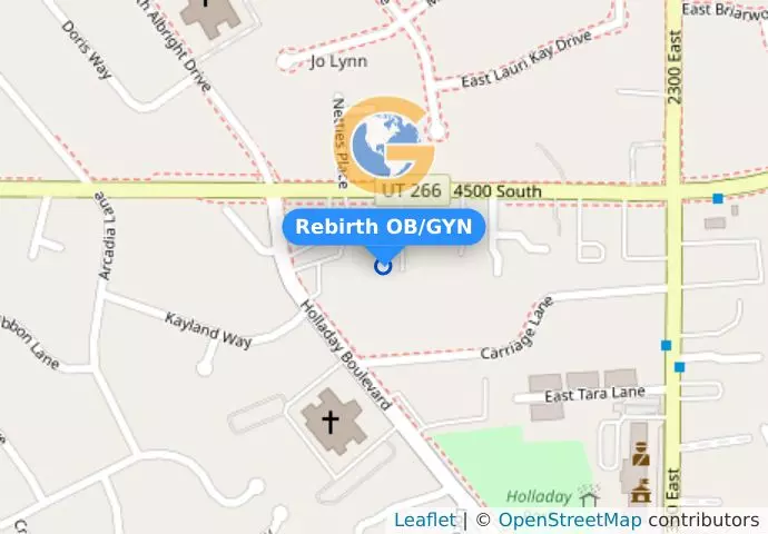 Rebirth OB/GYN