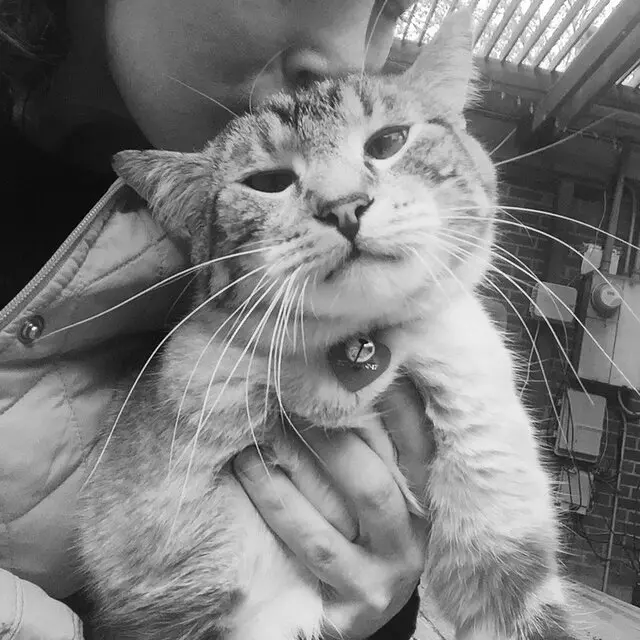 Amy, the Critter Sitter