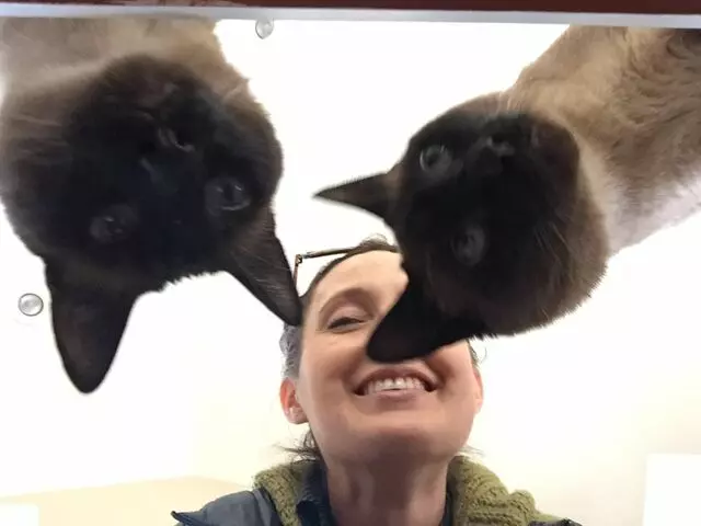 Amy, the Critter Sitter