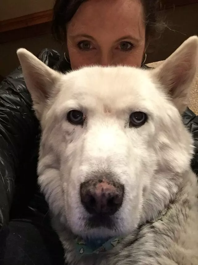 Amy, the Critter Sitter