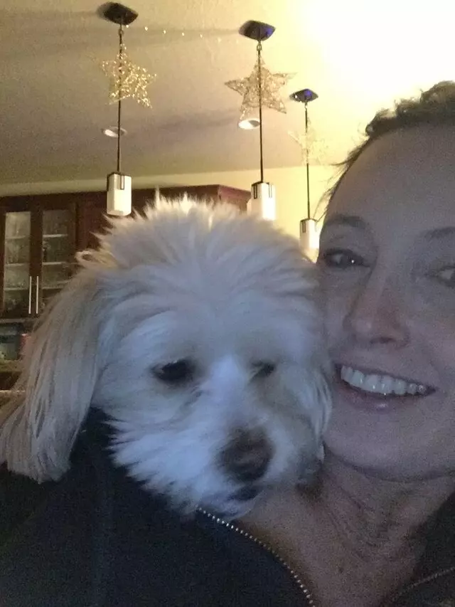 Amy, the Critter Sitter