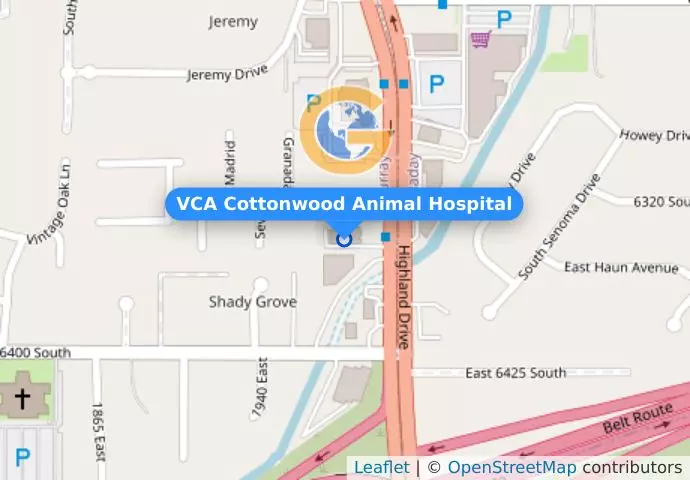 VCA Cottonwood Animal Hospital