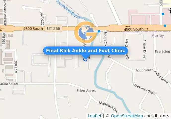 Final Kick Ankle and Foot Clinic