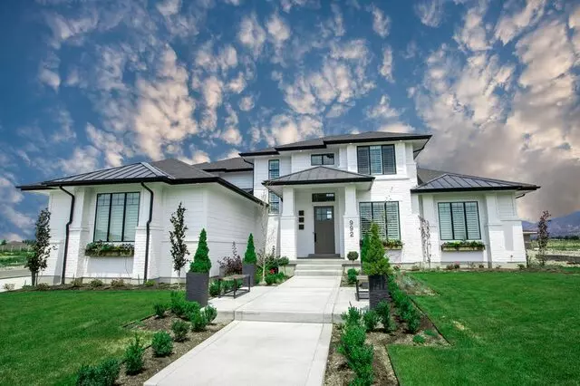 AMSCO Windows