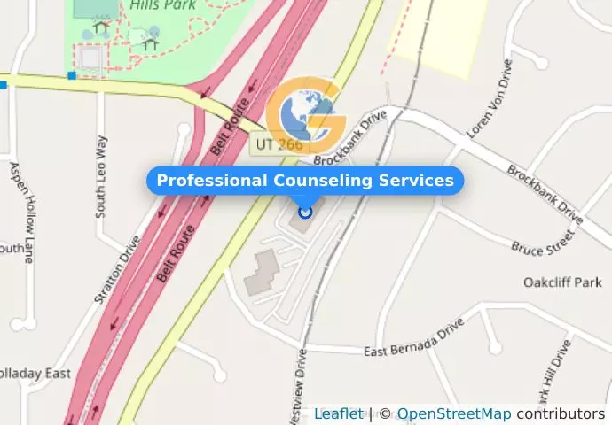 Professional Counseling Services