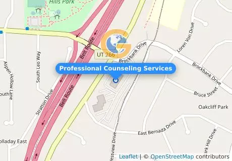 Professional Counseling Services