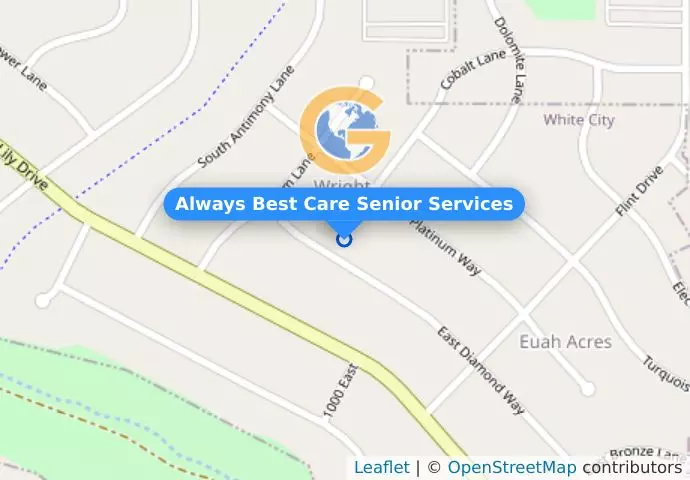 Always Best Care Senior Services