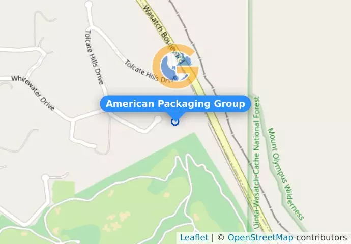 American Packaging Group