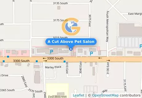 A Cut Above Pet Salon