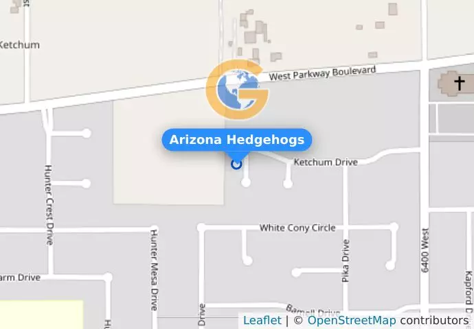 Arizona Hedgehogs