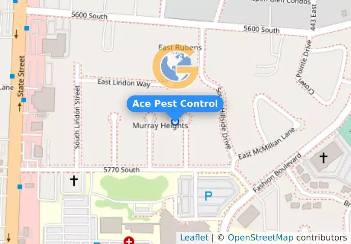 Ace Pest Control
