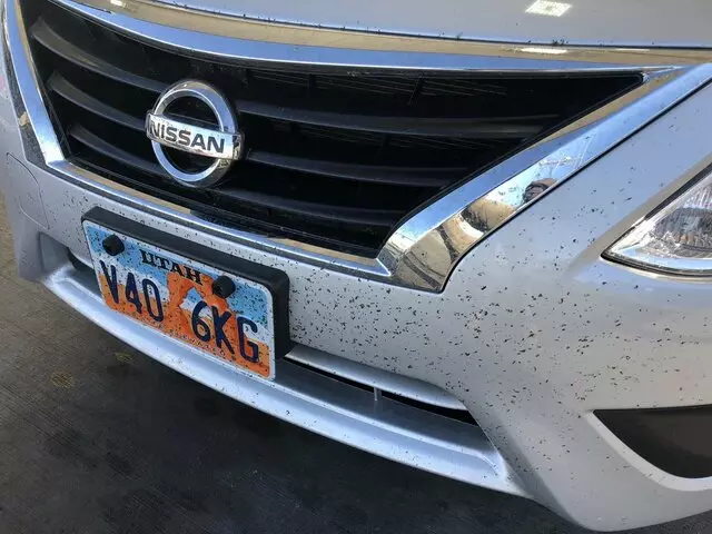 Alamo Rent A Car