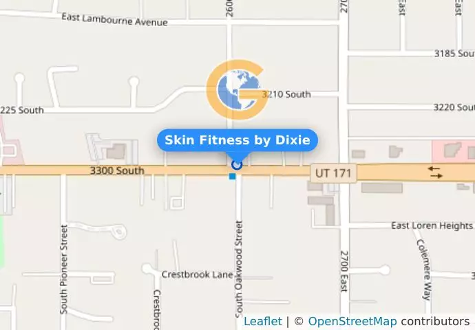 Skin Fitness by Dixie