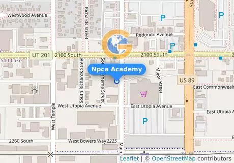 Npca Academy