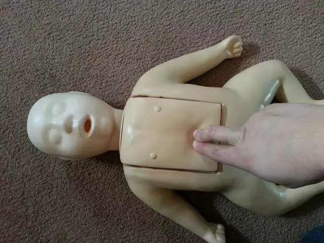 Survival Safety Services