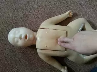 Survival Safety Services