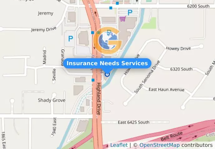 Insurance Needs Services