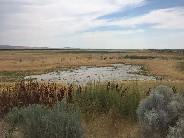 Antelope Island