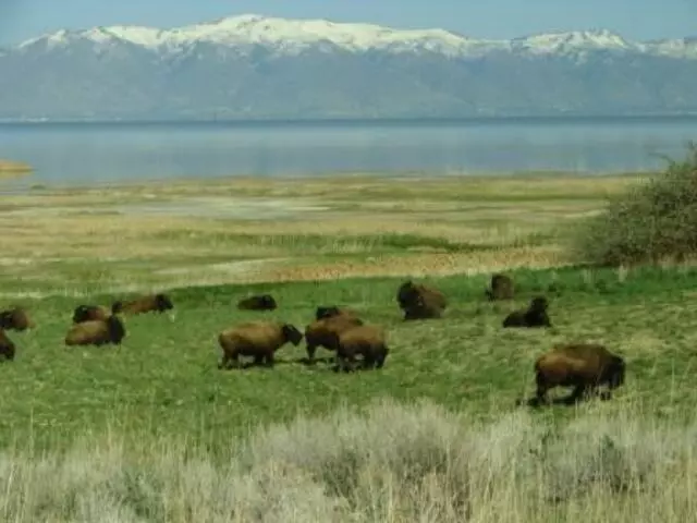 Antelope Island