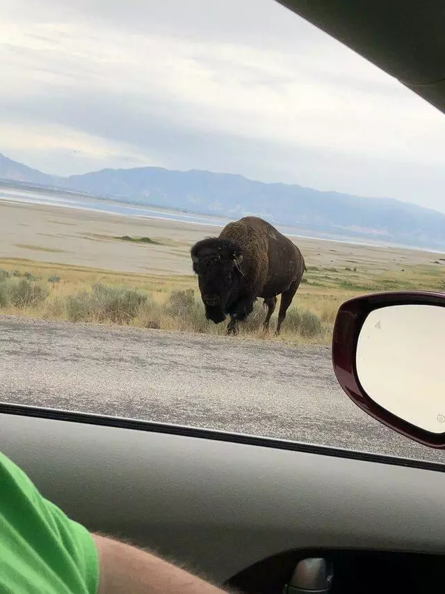 Antelope Island