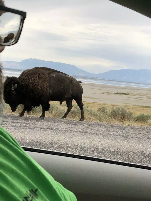 Antelope Island