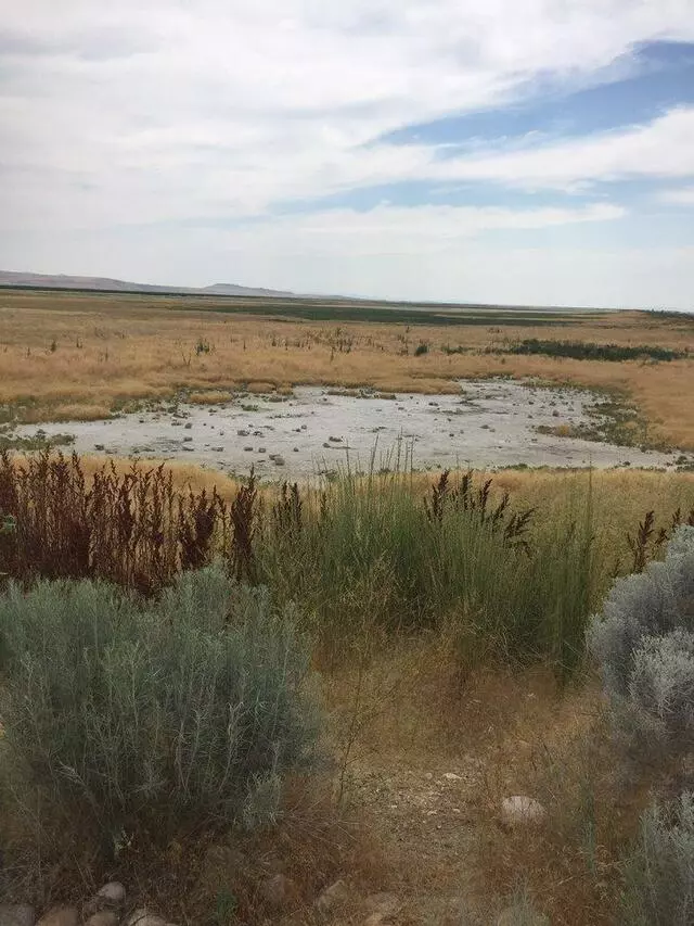 Antelope Island