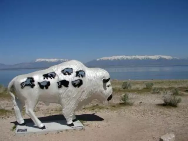 Antelope Island