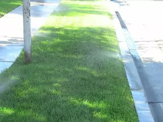 A1 Sprinklers